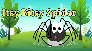 Itsy bitsy Spider  Nursery Rhyme  Incy Wincy Spider [upl. by Neehsuan864]