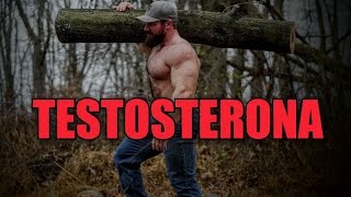 LA TESTOSTERONA [upl. by Isobel815]