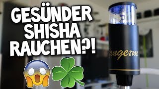 😱🌿 GESÜNDER SHISHA quotRAUCHENquot  EHEAD  EKOPF IM TEST ⚡✨ [upl. by Aihsital]