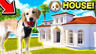 BUYING MY PUPPY A GIANT DOG HOUSE 🐶 [upl. by Lanita]