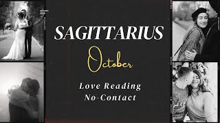 Sagittarius Dhanu October 2024  love hindi tarot October  No Contact tarot card reading [upl. by Malda]