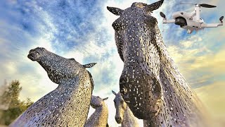 Looking at The Kelpies Up Close  Drone  DJI Mini 2 SE [upl. by Berkie]