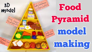 Food pyramid model making ideas DIY science project food pyramid 3d model [upl. by Nednarb]