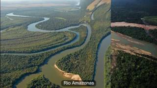 Belezas da Amazônia [upl. by Ylsew]