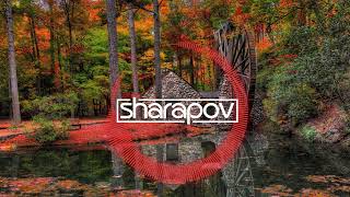 Sharapov  Shake Original Mix [upl. by Sutsuj]