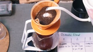 Pour Over Coffee  Osmotic Flow  Tutorial [upl. by Ahtnams]