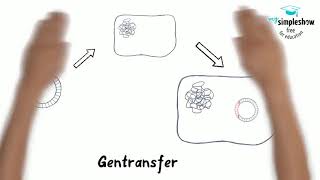 Die Herstellung von menschlichem Insulin Teil 2 [upl. by Judie]