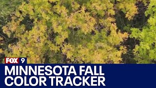 Minnesota DNR launches fall color tracker [upl. by Negem]