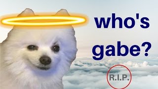 RIP gabe the dog [upl. by Gardner]