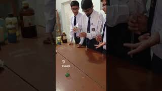 Biochemical Tests in Biology Lab of Govt Graduate College Mianwali laboratory biochemistry [upl. by Ddej723]