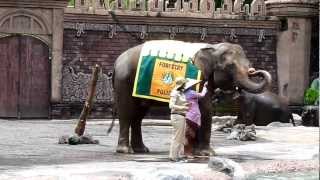 Bali Safari amp Marine Park  Elephant show [upl. by Annaliese]