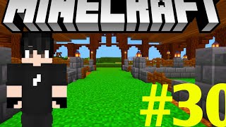 fizemos um celeiro no Minecraft 117 S1 EP30 TAMILEPSE [upl. by Glynis]