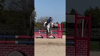 Biggest jump I’ve done on him🤩🤩 eventing seamus jumping [upl. by Eram636]