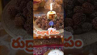 Rudraksha Deepam రుద్రాక్షదీపం VISWANATAASHTAKAM [upl. by Nnaeirual]