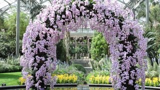 Longwood Gardens Orchid Display 2017 [upl. by Stephenie]