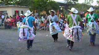 DANZA LOS CABALLITOS PARTE 1wmv [upl. by Kearney939]