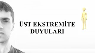 Üst Ekstremite Deri Duyuları [upl. by Aire]