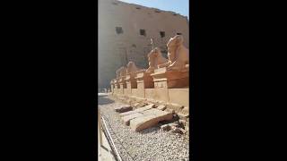 Luxor Temple Obelisk and Road of the Sphinxes wth explanation [upl. by Eenerb]