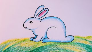 How to Draw Rabbit for Beginners  Rabbit Drawing Colour  Cute Rabbit Drawing Step by Step [upl. by Bordie]