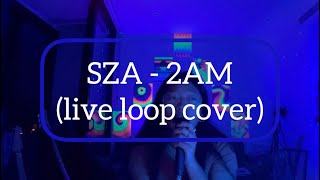 sza  2AM live loop cover [upl. by Durtschi682]