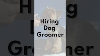 Hiring Trained Pet Groomers for a Luxury Pet Grooming Spa and Salon Rush and Apply Now [upl. by Atiuqrahs961]