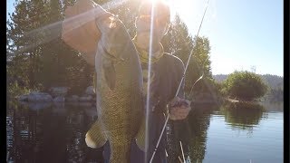 Hot Summer Days Bass Fishing Antelope Lake CA [upl. by Marius]