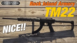 RIA TM22  A Nice Low Cost 22lr Plinker [upl. by Autumn]