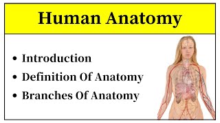 Anatomy Introduction In Hindi  Definition Of Anatomy And Its Division  What Is Anatomy In Urdu [upl. by Cherlyn703]