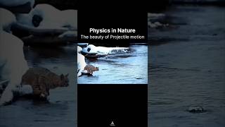 Physics in Nature  The beauty of Projectile motion [upl. by Suiramed50]