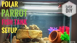 Tank Setup for Polar Parrot Fish🐟 By Vishal [upl. by Noteek618]