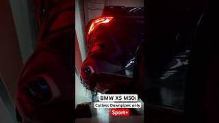 BMW X5 M50i catless downpipes cold start in sport [upl. by Polad398]