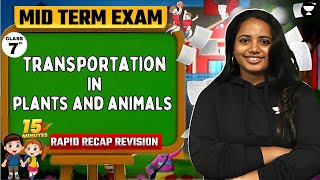 Transportation in Plants and Animals  15 Minutes Rapid Recap in English  Mid Term  Class 7 [upl. by Kantos]