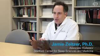 Stanford University professor explaining the technology behind the Lumos Smart Sleep Mask [upl. by Ojahtnamas]