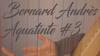 Bernard Andrès Aquatinte 3 [upl. by Merceer]