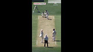 Nitish Kumar Reddy smashes Nathan Lyon for a beautiful boundary  AUSvINDOnStar [upl. by Llereg]