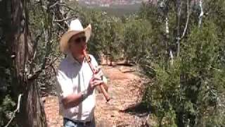 Native American Flute Music Tulipwood Improv by Richard Maynard [upl. by Dloreg148]