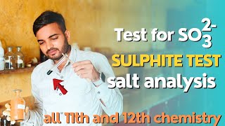 Test for sulphate ion SO32 Anion practical class 11th and 12th chemistry saltanalysis [upl. by Bonnell]