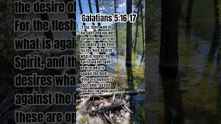 Galatians 51617🙏 bible God Jesus HolySpirit shorts [upl. by Hattie]