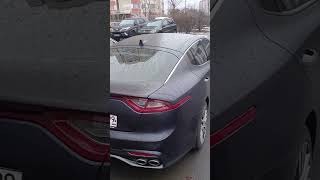 🇰🇷KIA Stinger🇰🇷 automobile рекомендации caredit [upl. by Malvie965]