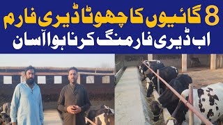 Small Dairy Farm  About Dairy Farm Business  Milk Business in Pakistan [upl. by Lednahc]