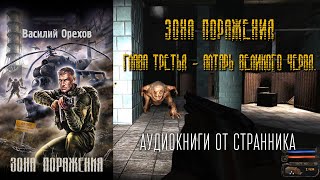 АУДИОКНИГА Зона поражения Глава 3 Василий Орехов STALKER [upl. by Adaj]