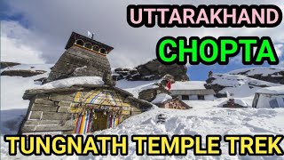 tungnath temple trekmarch monthchopta uttarakhand [upl. by Ajnin76]