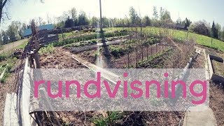 Rundvisning i köksträdgården  vår [upl. by Limber]