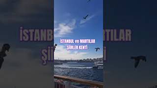 İstanbul ve Martılar Şiirler Kenti [upl. by Raclima]