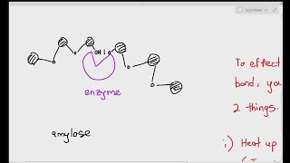 31 An Introduction to enzymes Cambridge AS A Level Biology 9700 [upl. by Lora]