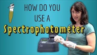 How do you use a Spectrophotometer A stepbystep guide [upl. by Yasmin]