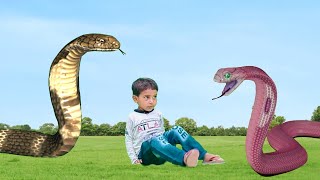 saamp wala video  snake video  short movie [upl. by Kingsbury]