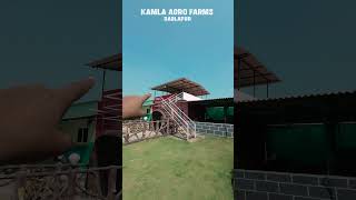 Kamla Agro Farms  Best Farmhouse in Badlapur  Best Resort in Badlapur shorts vlog [upl. by Anaihs]