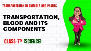 Transportation in Animals and Plants Part 1 Class 7th Science  Junoon pro [upl. by Enyehc]