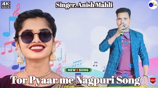 तोर प्यार में मोय तो भेलो पगला 🌿Tor pyaar me moy to bhelo pagla🌿New nagpuri song🌿singerAnish Mahli [upl. by Anitap]